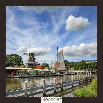 alo-molen-website-visual